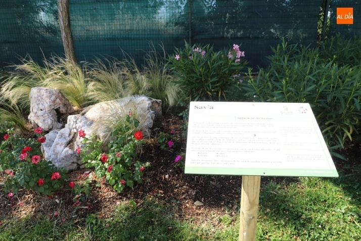 Foto 4 - El Ayuntamiento presenta el nuevo &lsquo;Jard&iacute;n de las cuatro estaciones&rsquo;