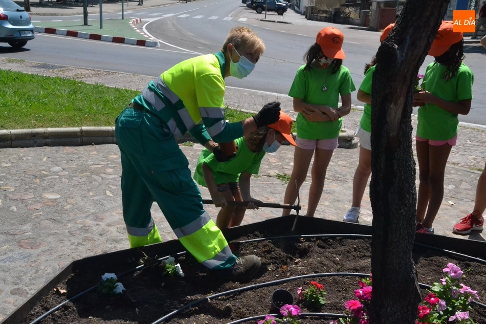 Foto 10 - Comienza el nuevo turno de Outdoor Kids plantando petunias en la Glorieta del &Aacute;rbol Gordo  