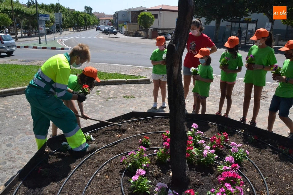 Foto 11 - Comienza el nuevo turno de Outdoor Kids plantando petunias en la Glorieta del &Aacute;rbol Gordo  