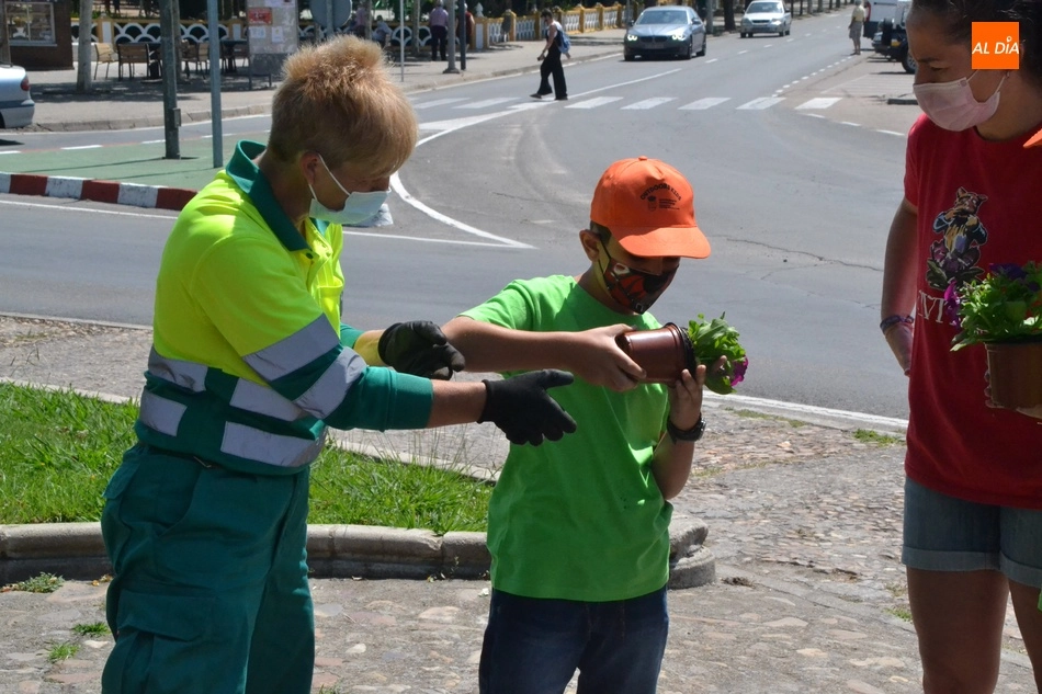 Foto 6 - Comienza el nuevo turno de Outdoor Kids plantando petunias en la Glorieta del &Aacute;rbol Gordo  