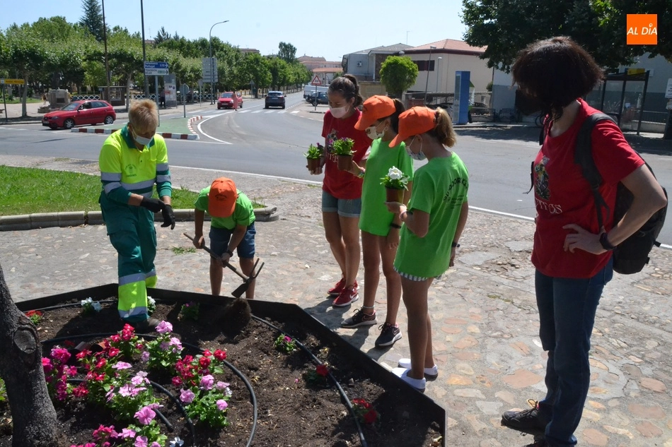 Foto 7 - Comienza el nuevo turno de Outdoor Kids plantando petunias en la Glorieta del &Aacute;rbol Gordo  
