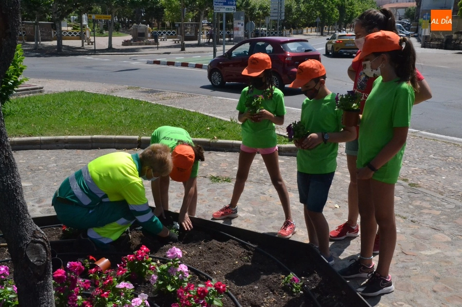 Foto 8 - Comienza el nuevo turno de Outdoor Kids plantando petunias en la Glorieta del &Aacute;rbol Gordo  