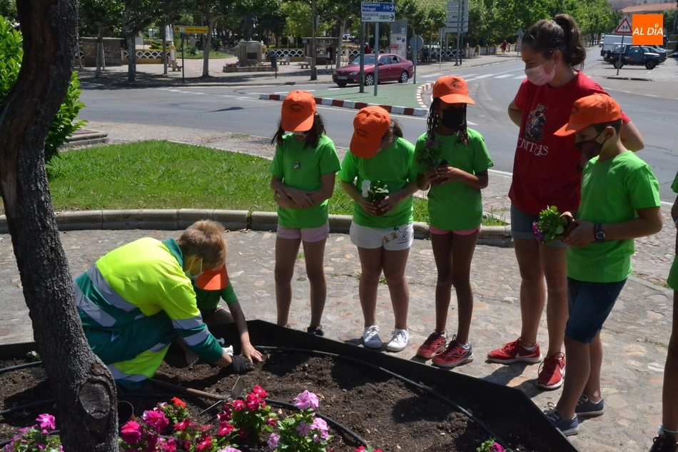 Foto 9 - Comienza el nuevo turno de Outdoor Kids plantando petunias en la Glorieta del &Aacute;rbol Gordo  