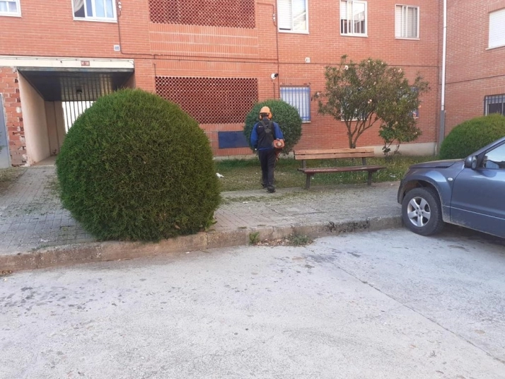 Foto 2 - El Ayuntamiento de Alba de Tormes cuida de sus zonas verdes