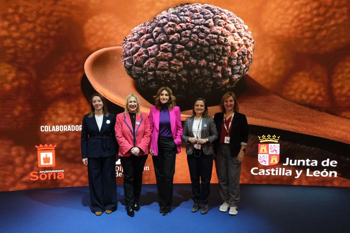 Cocinando con Trufa 2026: Soria acoge el concurso mundial