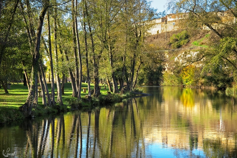 Frescor para el estío
