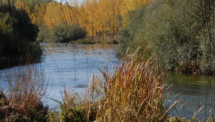 Dos muertes por ahogamiento en julio elevan a ocho los fallecimientos en Castilla y León en lo que ...