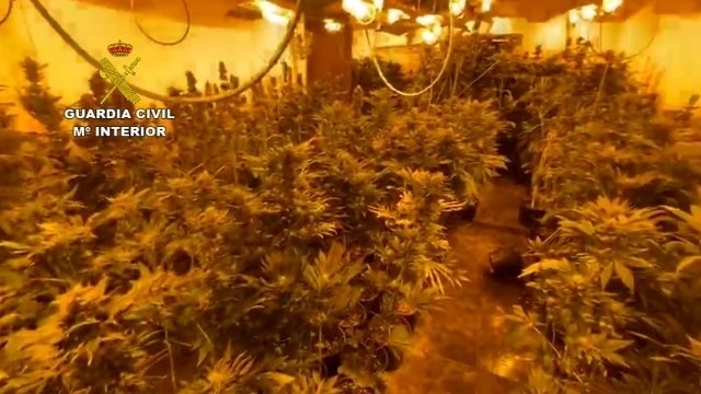 Más de 60 detenidos y 50 registros en una operación contra el tráfico de drogas en varias...