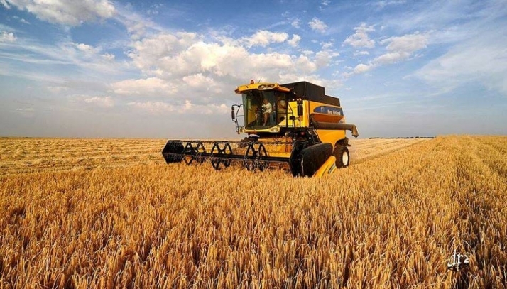 Agricultura prepara el decreto sobre mercados de productos agrarios en origen y mesas de precios 