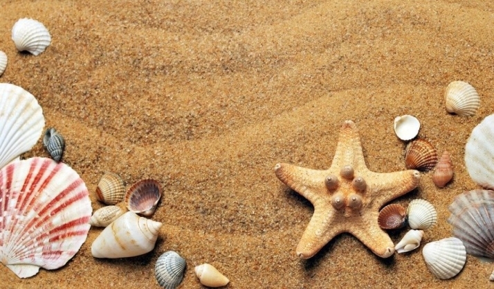 Algo tiene el verano