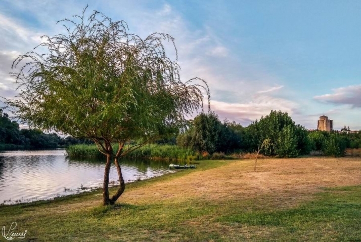 El disfrute de lo sencillo