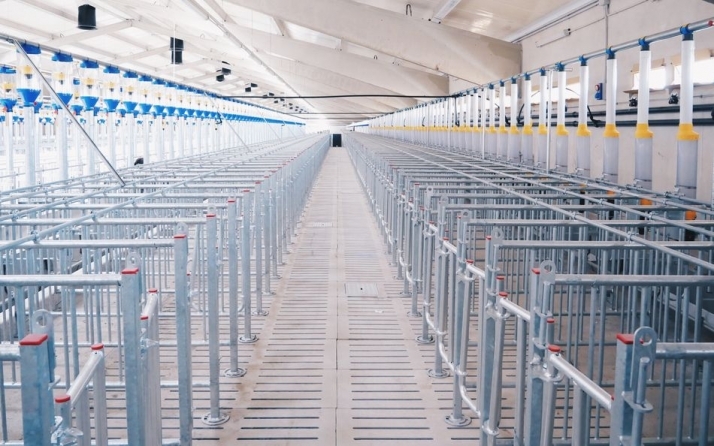 Nueva granja en Salamanca para 2.000 madres ibéricas  