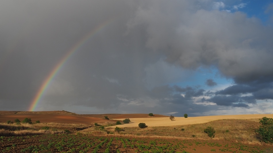 Futuro para la esperanza