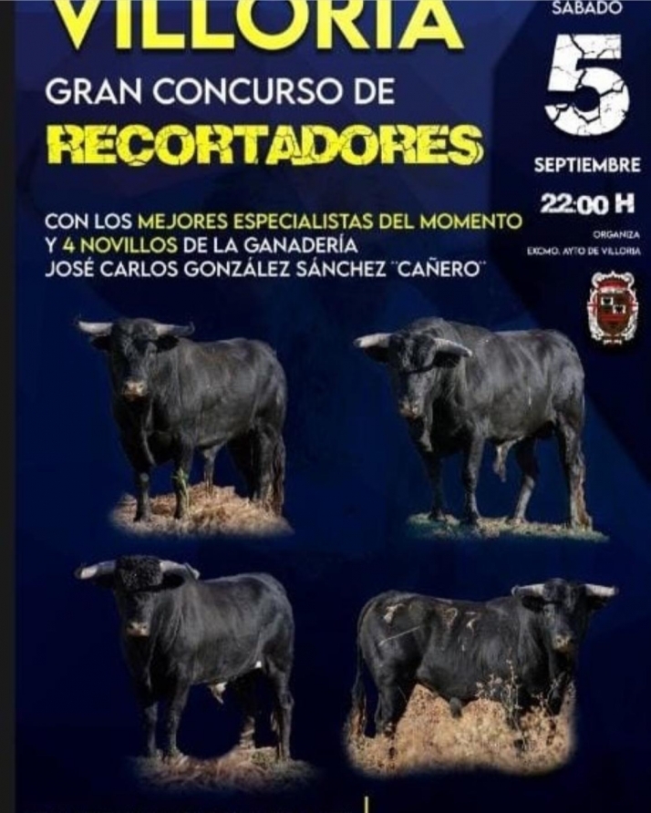 El concurso de recortadores de Villoria será este sábado si lo autoriza la Junta  