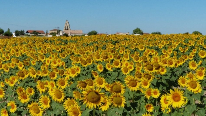 Evocaciones estivales