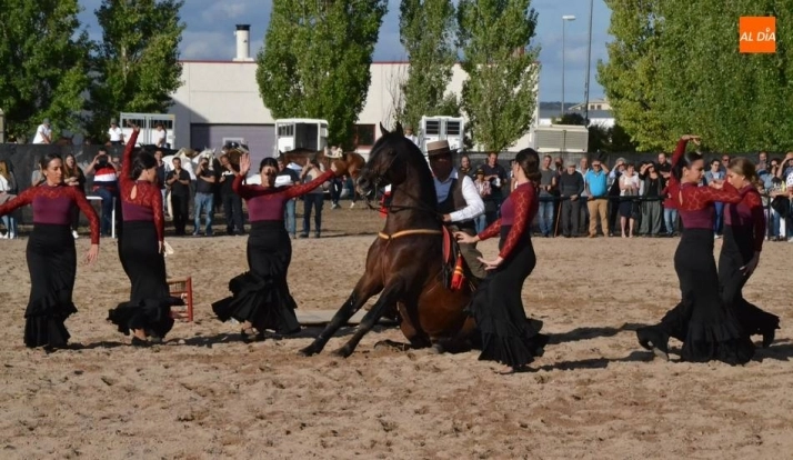 El Ayuntamiento oficializa la cancelación de la Feria del Caballo 2020  