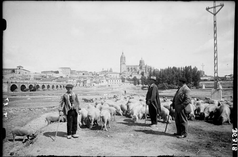 La feria ganadera, cita tradicional al final del verano