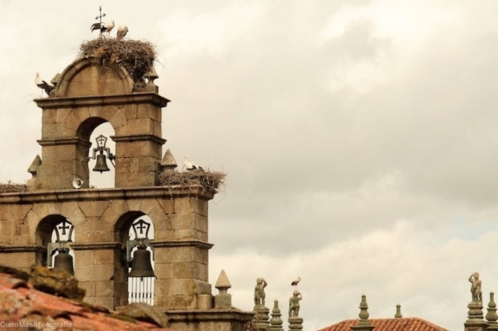 La Diócesis de Salamanca anima a los sacerdotes a tocar cada mediodía las campanas en un...