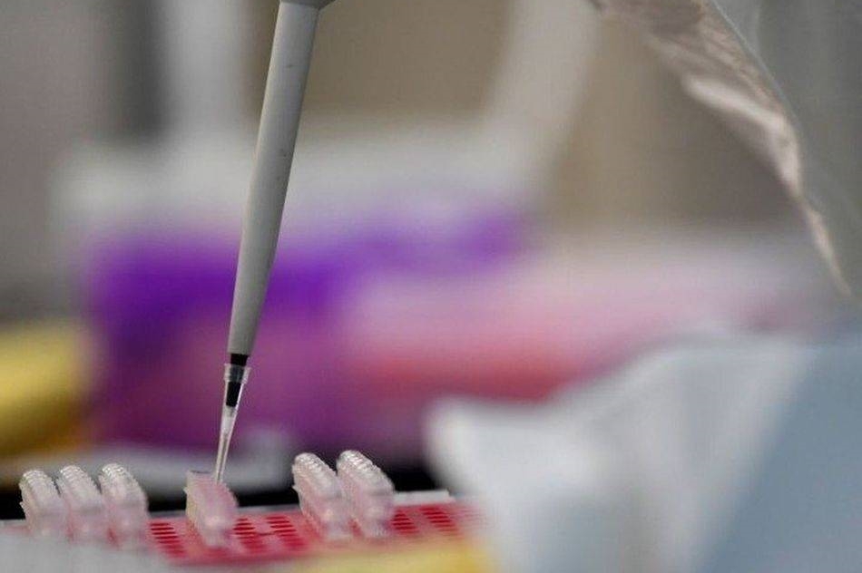 Crisis del coronavirus