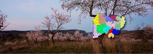 Las localidades coloreadas en lila, verde, amarillo, marrón y morado integran el Área de referencia de Ciudad Rodrigo