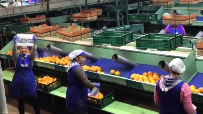 Trabajadoras de la cooperativa Bouquet