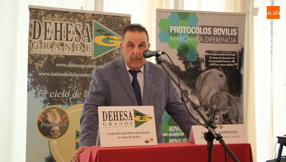 Gabriel Gonzalo, presidente de Dehesa Grande / CORRAL