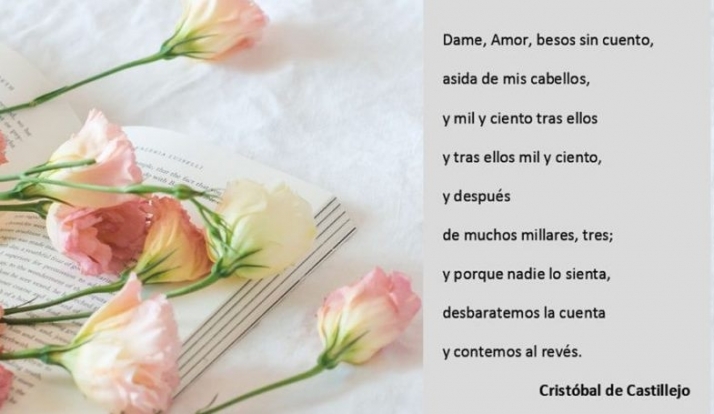 Alejandro Rafael Alagón gana el I Premio de Poesía ‘Cristóbal de Castillejo’  