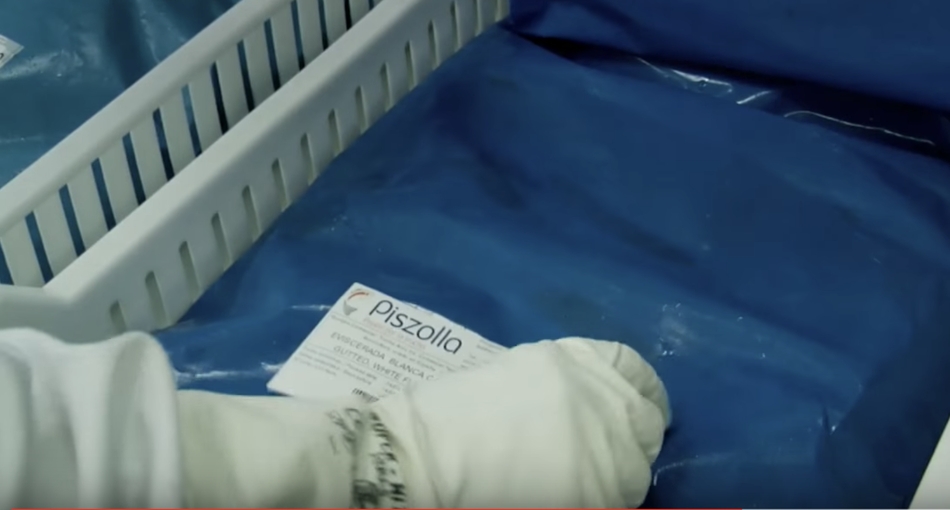 Piszolla muestra su solidaridad con la crisis del coronavirus