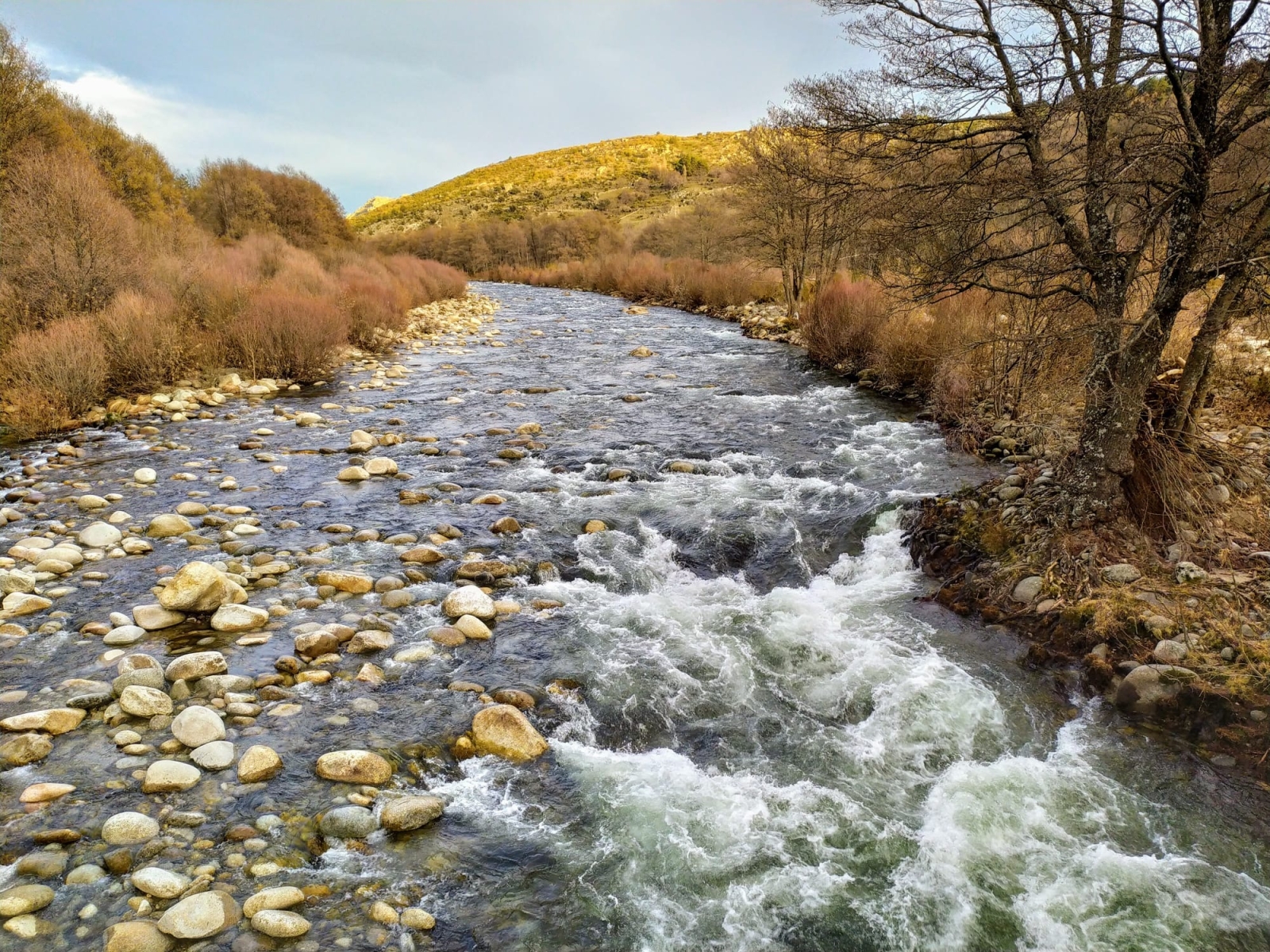La CHD celebra este domingo el Día Mundial del Agua