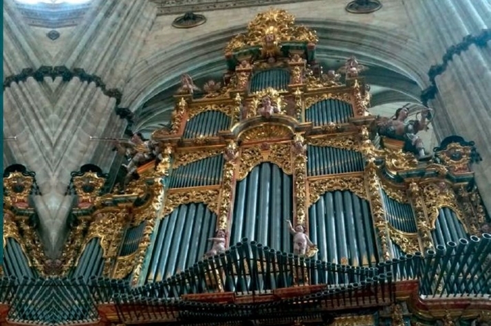 Órgano de la Catedral de Salamanca donde serán estos conciertos
