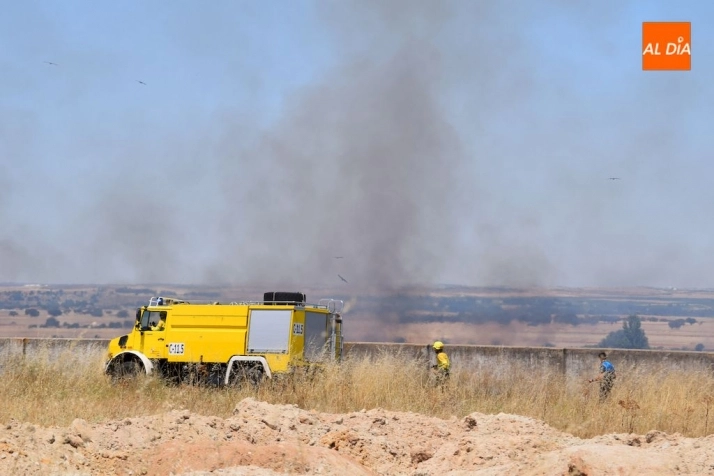 Foto 7 - Gran incendio en una tierra anexa a la urbanizaci&oacute;n Los Cisnes