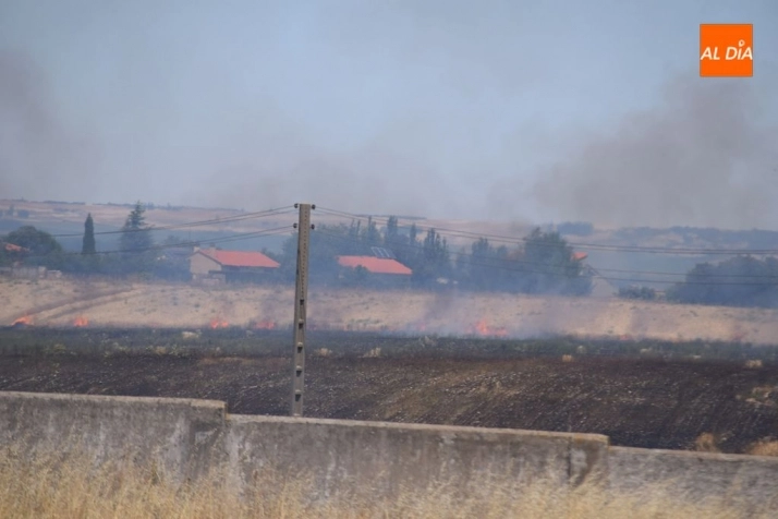 Foto 6 - Gran incendio en una tierra anexa a la urbanizaci&oacute;n Los Cisnes