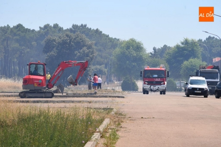 Foto 4 - Gran incendio en una tierra anexa a la urbanizaci&oacute;n Los Cisnes