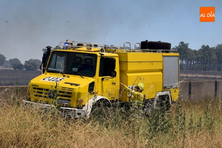 Foto 3 - Gran incendio en una tierra anexa a la urbanizaci&oacute;n Los Cisnes