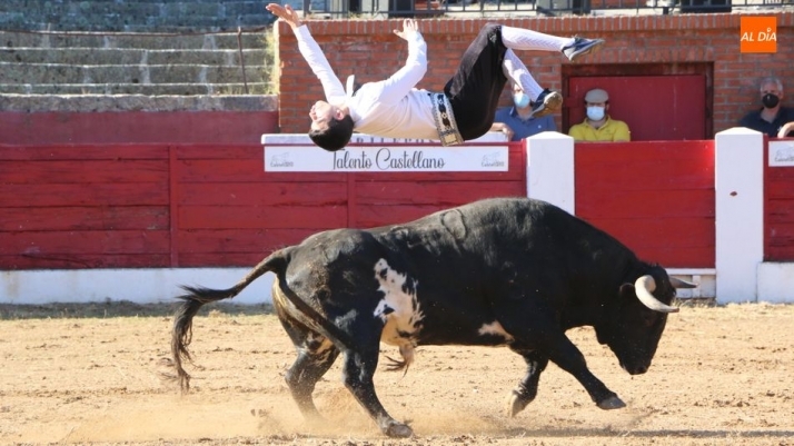 El festejo trendrá lugar el sábado 24 de julio en la plaza de toros de Masueco / CORRAL
