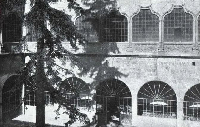 El histórico árbol universitario