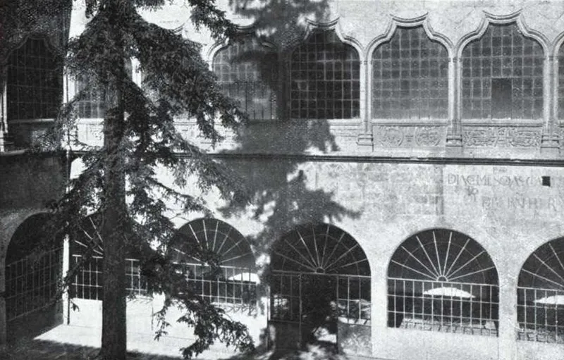 Foto 2 - El hist&oacute;rico &aacute;rbol universitario