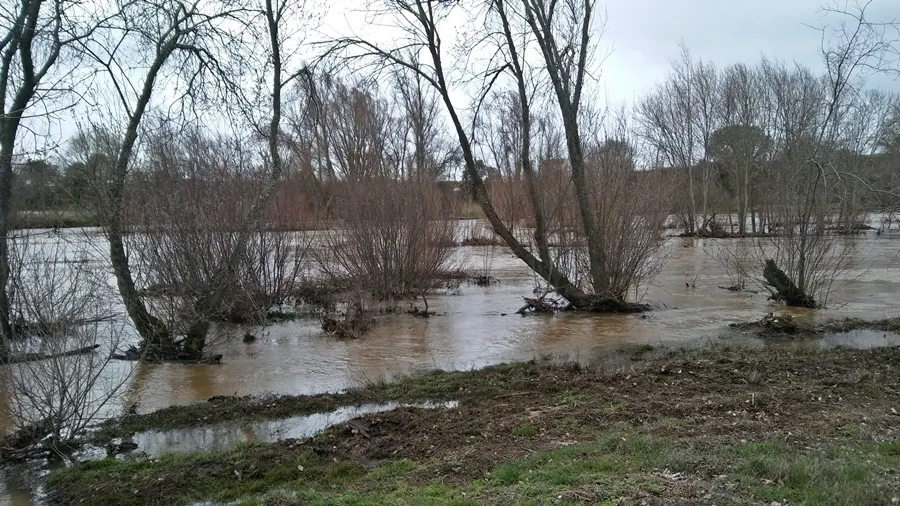 Foto 3 - El rastro del agua