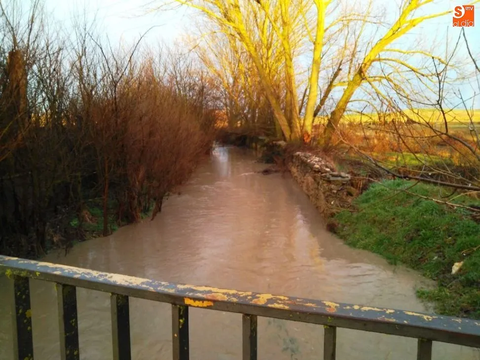 Foto 5 - Ligera crecida del Tormes a su paso por Alba de Tormes