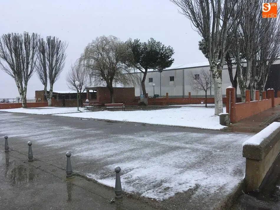 La nevada ha cubierto tejados, coches y jardines en Babilafuente