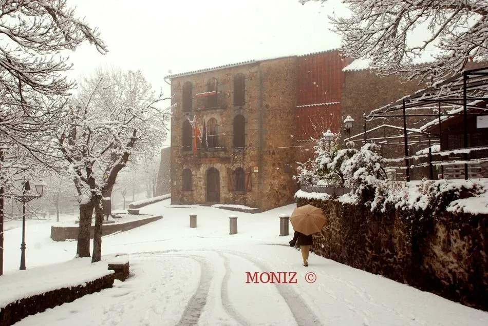 Foto 10 - La nevada vuelve a cubrir de blanco los alrededores de B&eacute;jar  