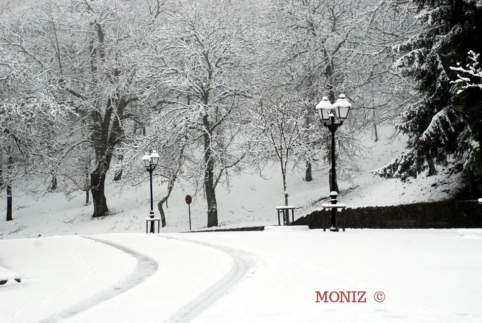 Foto 9 - La nevada vuelve a cubrir de blanco los alrededores de B&eacute;jar  