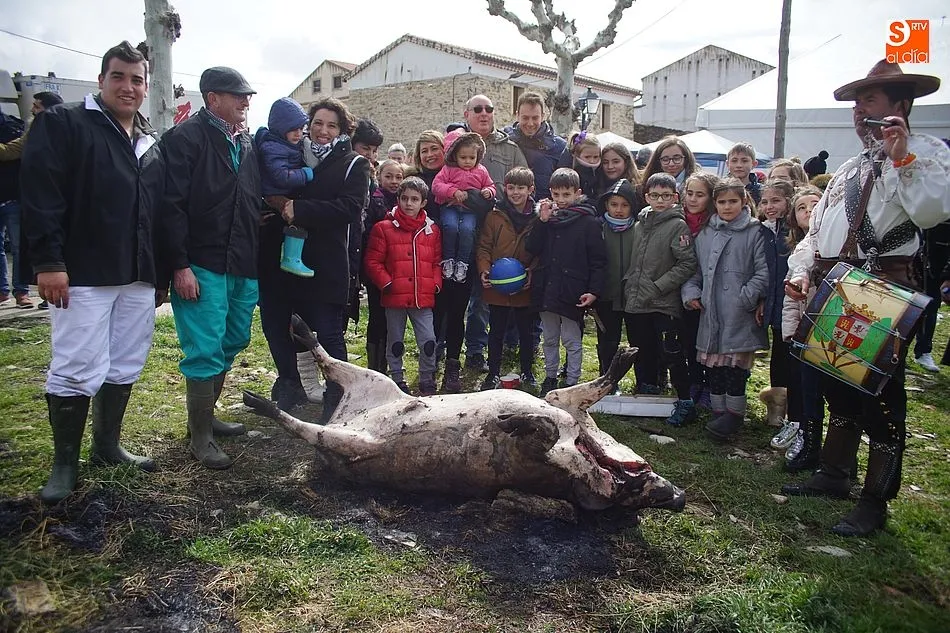 Foto 9 - Un soleado sacrificio y una multitudinaria comida despiden la temporada de matanzas