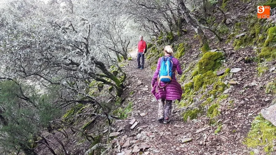 Foto 8 - La Ruta de los Meandros vuelve a encandilar a los amantes del senderismo