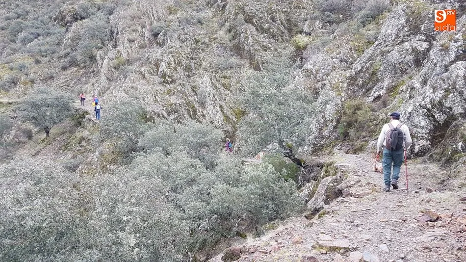 Foto 6 - La Ruta de los Meandros vuelve a encandilar a los amantes del senderismo