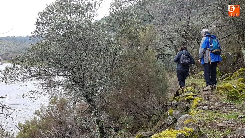 Foto 5 - La Ruta de los Meandros vuelve a encandilar a los amantes del senderismo