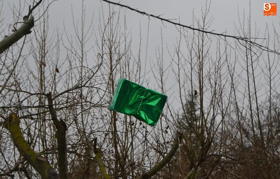 1Foto: Adiós al último regalo de la Navidad  