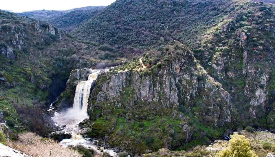 Foto 2 - Fuerza motriz