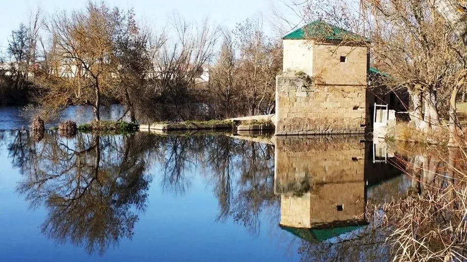Plantaciones y lectura de textos sobre la igualdad y la mujer para celebrar el Día del Árbol  