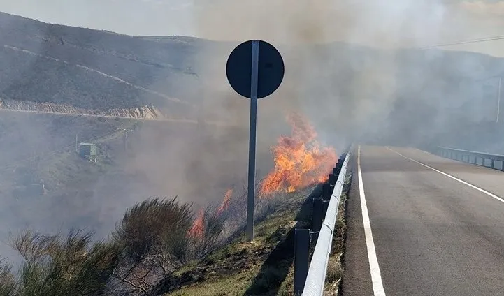 Foto 5 - Un incendio se queda a las puertas de los grabados Patrimonio de la Humanidad de Siega Verde  